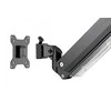 Laikiklis Assmann Electronic DIGITUS Single Gas Spring Monitorius Desk Mount 35inch 15kg max juodas