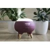 Concept Koncepcinis kvapų difuzorius Berry DF1011 Perfect Air