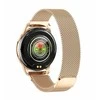 Išmanusis laikrodis Maxcom Ecowatch 3 auksinė
