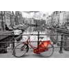 Educa dėlionė 3000 vnt. - Amsterdamas