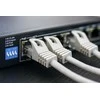 EXTRALINK CAT6A FFTP F/FTP vidinė vytos poros 500m LSZH