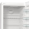 Šaldytuvas GORENJE R619EAW6