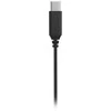 Ausinės Hama In-Ear Austiņas Sea II USB-C Digitālais Audio Melns