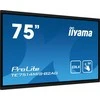 Monitorius Iiyama 75" IFP, 3840x2160, IR 40P, EDLA, AG