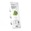 Click &amp; Grow 3 vnt. papildymas - romėniškų salotų sėklos