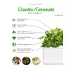 Click and Grow Smart Home 3 vnt. papildymas - kalendros sėklos