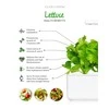 Click And Grow Click &amp; Grow Click &amp; Grow Smart Garden pildomas salotos 3vnt