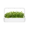 Click and Grow Smart Home 3 vnt. papildymas - kalendros sėklos