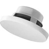 Kompiuterio kolonėlės ADC AUDAC SSP500 2 krypčių Balta Vielinis 20 W