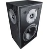 Magnat Monitorius S10 D, Juoda