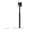 Laikiklis NEOMOUNTS MOVE UP DISPLAY FLOOR STAND (32-75") SOLID STEEL FLOOR PLATE