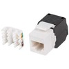 Lanberg Keystone modulio lizdas be įrankių RJ45 kat.6 UTP