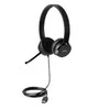 Lenovo 100 Stereo USB Ausinės