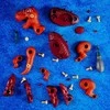 Lisciani DIY konstruktorius Dinozauras T-REX + dėlionė