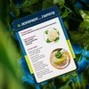 Lisciani Mokslo rinkinys esu genijus, besimokantis namuose – botanika