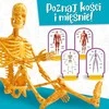 Lisciani Lavinamasis žaidimas