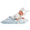 Llorens Rappa NAUJAGIMIS BERNIUKAS 26 cm