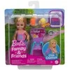 Lėlė Barbie Mattel Barbie Family&amp;Friends Klub Chelsea JBF46