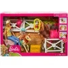 Lėlė Barbie Mattel - Stadnina Koni (FXH15)