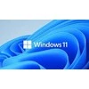 Microsoft „Oem win Pro“, skirtas wrkstns 11 pl x64 hzv-00117