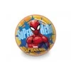 Vaikiškas kamuolys Mondo Spider Man 26018, 23 cm