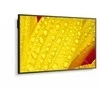 Monitorius NEC M651-2 65 colių UHD 500CD/QM - LED 24/7 SDM CM