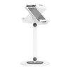 NEOMOUNTS BY NEWSTAR UNIVERSAL Planšetė STAND FOR 4,7 - 12,9" TABLETS