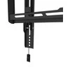 Laikiklis NEOMOUNTS BY NEWSTAR SCREEN WALL MOUNT (TILT, VESA 400X400)