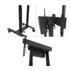 Laikiklis NEOMOUNTS BY NEWSTAR MOTORISED MOBILE FLOOR STAND - VESA 100X100 UP TO 800X600 Juodas
