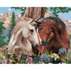 Norimpex Tapyba pagal numerius: Du arkliai 40x50 cm, rinkinys vaikams ir suaugusiems