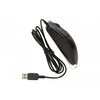 USB Pelė A4-Tech EVO Opto Ecco 612D juoda