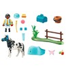 Playmobil Country 70515 "Lewitzer" ponis kolekcionuoti