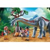 „Playmobil Dinos“ 71819 Brachiozaurų skraidyklė