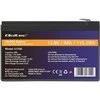 QOLTEC 53701 LiFePO4 ličio geležies fosfato baterija / 12,8V / 12Ah / 153,6Wh / BMS