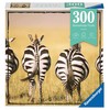 Ravensburger Dėlionė 300 vnt. - Zebrai