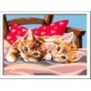 Ravensburger CreArt spalvinimo knygelė vaikams Du mieli kačiukai