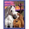 Ravensburger CreArt spalvinimo knygelė vaikams Arkliai ir saulėlydis