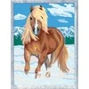 Ravensburger CreArt spalvinimo knygelė vaikams Royal Horse 18x24cm