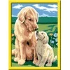 Ravensburger CreArt spalvinimo knygelė vaikams šuniukai