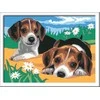 Ravensburger CreArt spalvinimo knygelė vaikams Jack Russel šuniukai 24x18cm