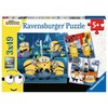 Ravensburger Dėlionė 3x49 vnt. - Pakalikai 2