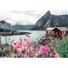 RAVENSBURGER dėlionė Reine Lofoten, Norvegija, 1000d., 16740