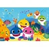 Baby Shark 2 x 12 Puzzle - RAVENSBURGER dėlionė