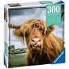 Ravensburger Dėlionė 300 vnt. - Škotijos karvė