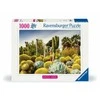 Ravensburger Dėlionė 1000 vnt. - Kaktusai