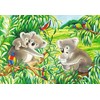 Ravensburger Dėlionė 2x24 vnt. - Mielos koalos ir pandos