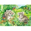 Ravensburger Dėlionė 2x24 vnt. - Mielos koalos ir pandos