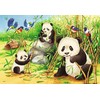 Ravensburger Dėlionė 2x24 vnt. - Mielos koalos ir pandos