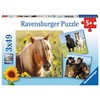 Ravensburger Dėlionė 3x49 vnt. - Mieli arkliai