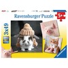 Funny Animal Portraits - Puzzle 3X49 - RAVENSBURGER dėlionė